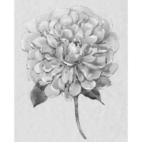 Silvertone Floral I Black Modern Wood Framed Art Print by OToole, Tim