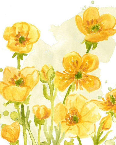 Sunshine Meadow I White Modern Wood Framed Art Print with Double Matting by Vess, June Erica