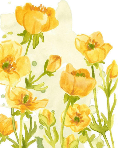 Sunshine Meadow II White Modern Wood Framed Art Print with Double Matting by Vess, June Erica