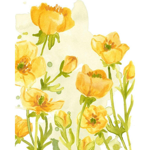 Sunshine Meadow II Black Modern Wood Framed Art Print by Vess, June Erica