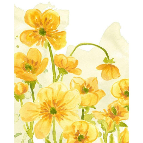 Sunshine Meadow III Black Modern Wood Framed Art Print with Double Matting by Vess, June Erica