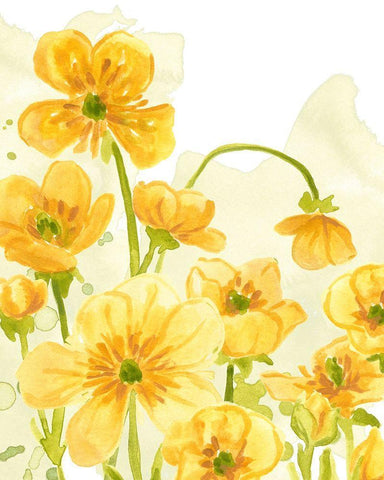 Sunshine Meadow III White Modern Wood Framed Art Print with Double Matting by Vess, June Erica