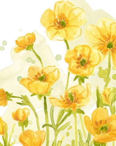 Sunshine Meadow IV White Modern Wood Framed Art Print with Double Matting by Vess, June Erica