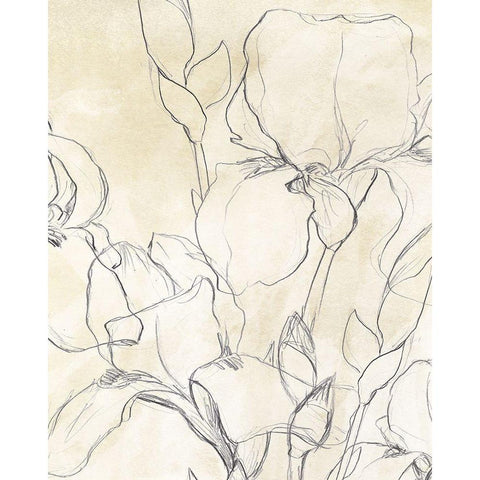 Iris Garden Sketch II Gold Ornate Wood Framed Art Print with Double Matting by Vess, June Erica