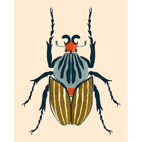 Beetle Bug I White Modern Wood Framed Art Print by Barnes, Victoria