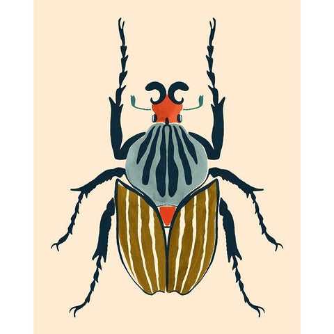 Beetle Bug I Black Modern Wood Framed Art Print by Barnes, Victoria