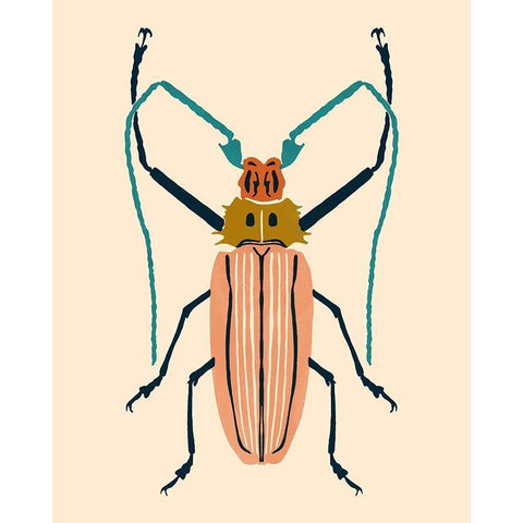 Beetle Bug IV Black Modern Wood Framed Art Print with Double Matting by Barnes, Victoria