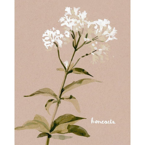 White Bonesets I Gold Ornate Wood Framed Art Print with Double Matting by Caroline, Emma