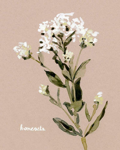 White Bonesets II White Modern Wood Framed Art Print with Double Matting by Caroline, Emma