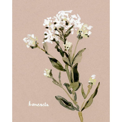 White Bonesets II White Modern Wood Framed Art Print by Caroline, Emma