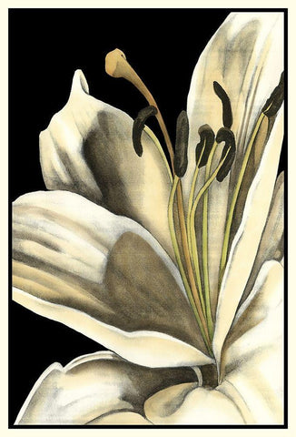 Graphic Lily III Black Ornate Wood Framed Art Print with Double Matting by Goldberger, Jennifer