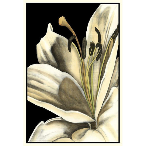 Graphic Lily III White Modern Wood Framed Art Print by Goldberger, Jennifer