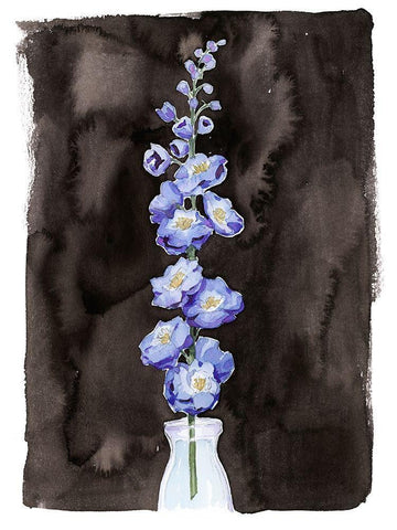 Blue Delphinium I Black Ornate Wood Framed Art Print with Double Matting by Popp, Grace
