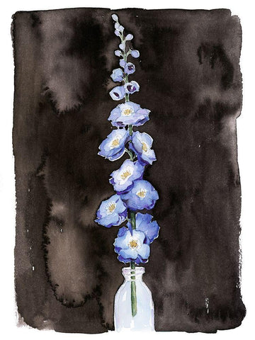 Blue Delphinium II White Modern Wood Framed Art Print with Double Matting by Popp, Grace