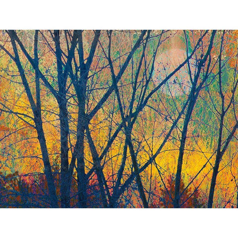 Meadow Trees I Black Modern Wood Framed Art Print by Vest, Chris