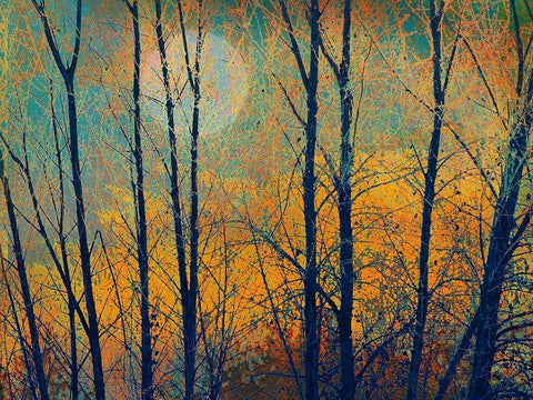 Meadow Trees II White Modern Wood Framed Art Print with Double Matting by Vest, Chris