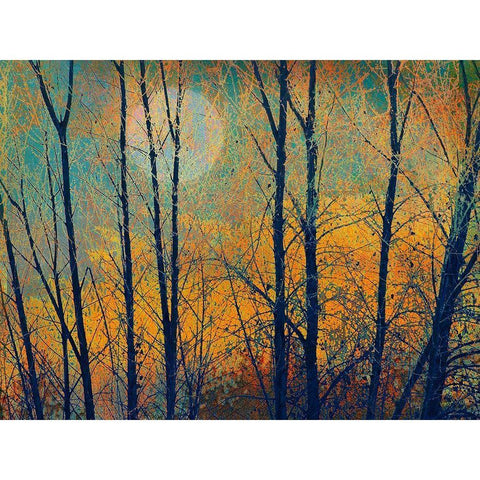 Meadow Trees II Black Modern Wood Framed Art Print by Vest, Chris