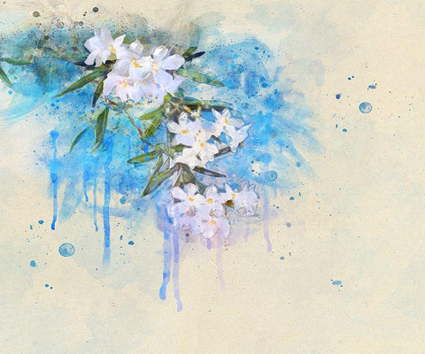 White Blossoms Black Ornate Wood Framed Art Print with Double Matting by Vest, Chris