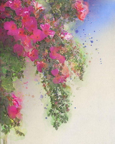 Cascade of Roses I White Modern Wood Framed Art Print with Double Matting by Vest, Chris