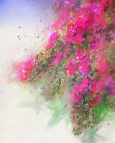 Cascade of Roses II White Modern Wood Framed Art Print with Double Matting by Vest, Chris