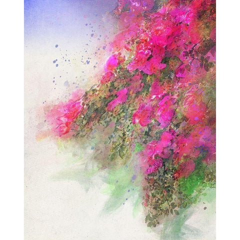 Cascade of Roses II Black Modern Wood Framed Art Print by Vest, Chris