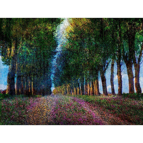 Row of Trees Provence Gold Ornate Wood Framed Art Print with Double Matting by Vest, Chris