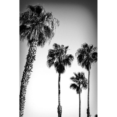 Beach Air I Black Modern Wood Framed Art Print with Double Matting by Hartson-Weddle, Ryan