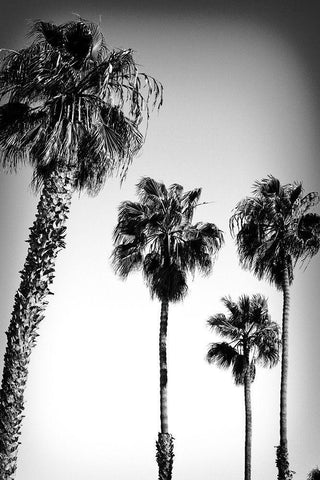 Beach Air I Black Ornate Wood Framed Art Print with Double Matting by Hartson-Weddle, Ryan