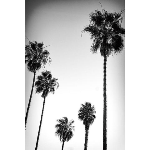 Beach Air II White Modern Wood Framed Art Print by Hartson-Weddle, Ryan