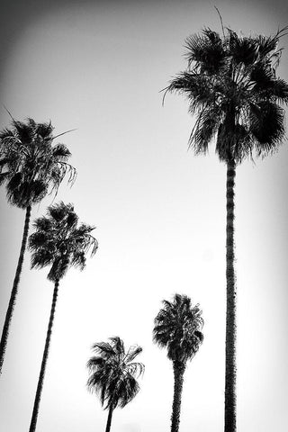 Beach Air II White Modern Wood Framed Art Print with Double Matting by Hartson-Weddle, Ryan