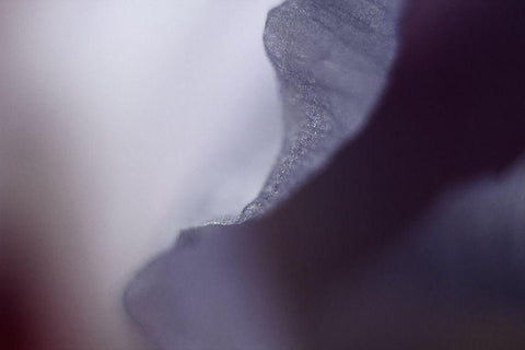 Haunting I White Modern Wood Framed Art Print with Double Matting by Stalus, Judy