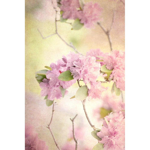 Reaching for the Sky I Gold Ornate Wood Framed Art Print with Double Matting by Stalus, Judy