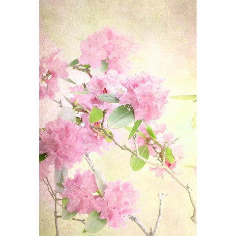 Reaching for the Sky II White Modern Wood Framed Art Print by Stalus, Judy