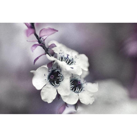 Tales from an Enchanted Glen V Gold Ornate Wood Framed Art Print with Double Matting by Hunt, Gillian