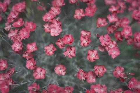 Natures Textures I White Modern Wood Framed Art Print with Double Matting by Stramel, Renee W.