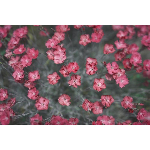 Natures Textures I Black Modern Wood Framed Art Print by Stramel, Renee W.