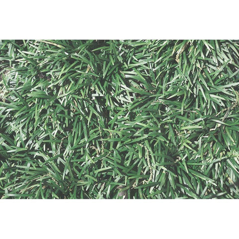 Natures Textures II Black Modern Wood Framed Art Print with Double Matting by Stramel, Renee W.