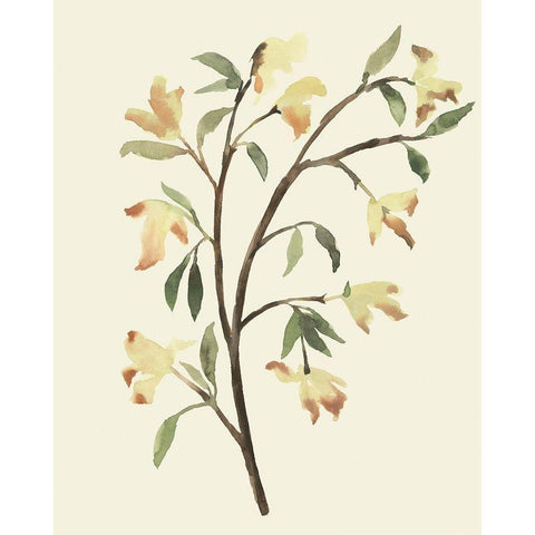 Blest Branch II White Modern Wood Framed Art Print by Warren, Annie