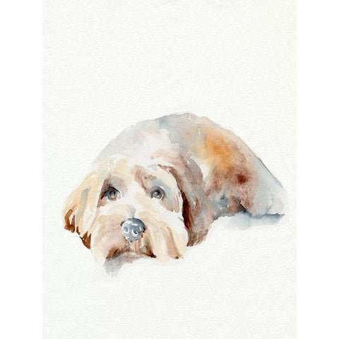 Scruffy Puppy II White Modern Wood Framed Art Print by Parker, Jennifer Paxton