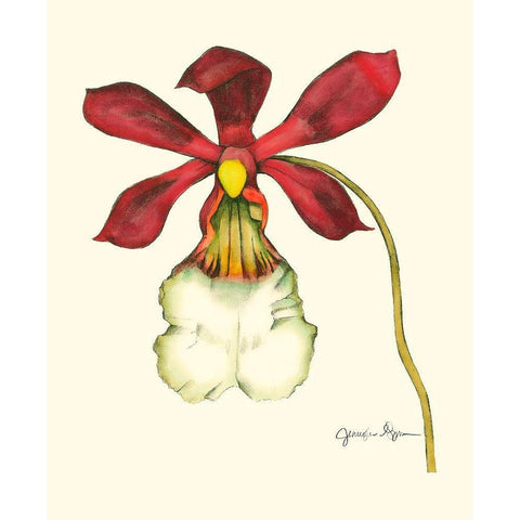 Majestic Orchid II White Modern Wood Framed Art Print by Goldberger, Jennifer