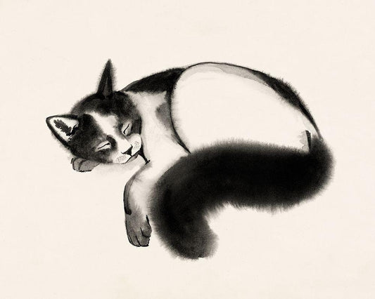 Image Only