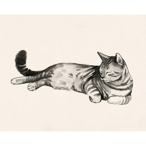 Cat Laze II White Modern Wood Framed Art Print by Popp, Grace