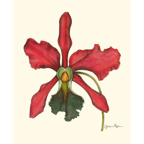 Majestic Orchid IV Black Modern Wood Framed Art Print by Goldberger, Jennifer