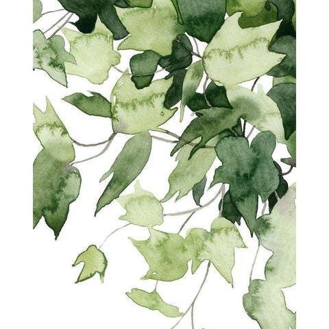 Emerald Vines II Black Modern Wood Framed Art Print with Double Matting by Popp, Grace