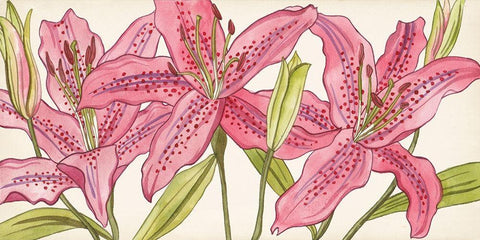 Pink Lilies I White Modern Wood Framed Art Print with Double Matting by Wang, Melissa