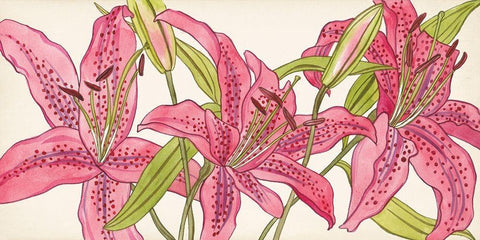 Pink Lilies II White Modern Wood Framed Art Print with Double Matting by Wang, Melissa