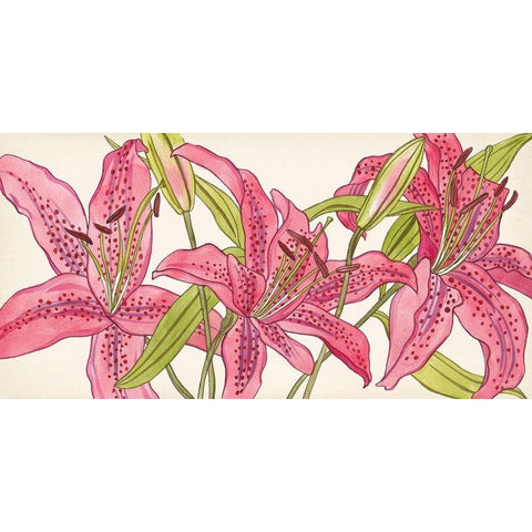 Pink Lilies II Black Modern Wood Framed Art Print with Double Matting by Wang, Melissa