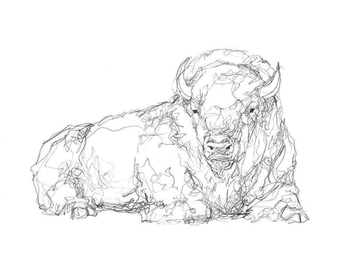 Bison Contour Sketch I White Modern Wood Framed Art Print with Double Matting by Harper, Ethan