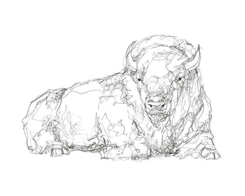Bison Contour Sketch I White Modern Wood Framed Art Print with Double Matting by Harper, Ethan