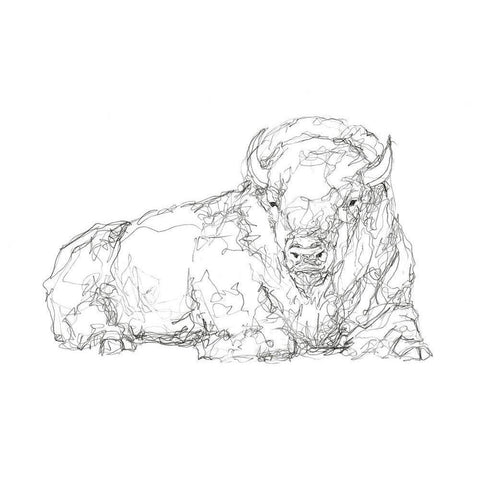 Bison Contour Sketch I Black Modern Wood Framed Art Print by Harper, Ethan